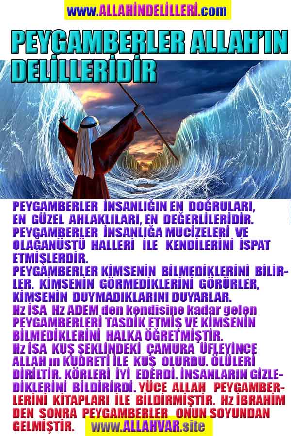 Proofs and Evidences of God, God exists proofs, God is real proofs and evidences, Proofs of God's existance