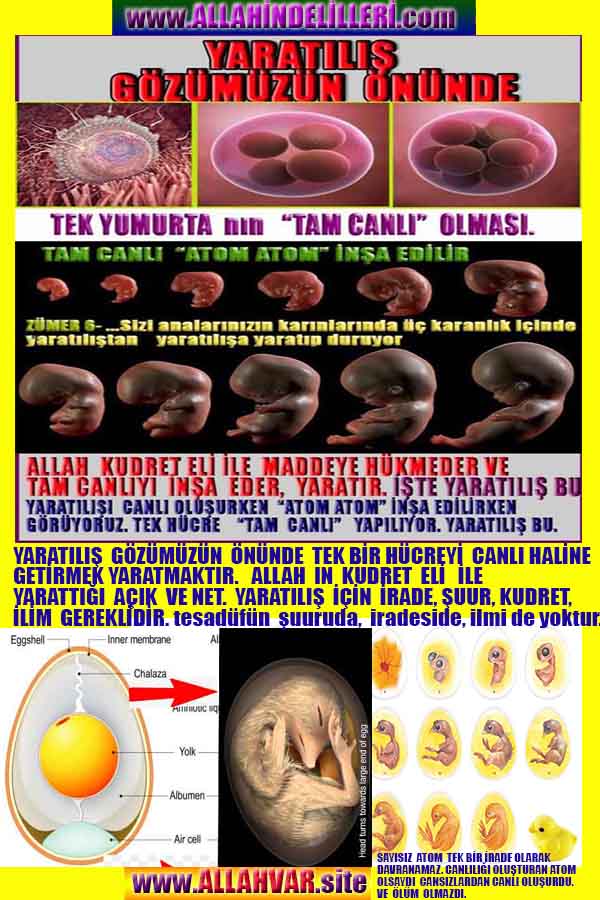 Proofs and Evidences of God, God exists proofs, God is real proofs and evidences, Proofs of God's existance