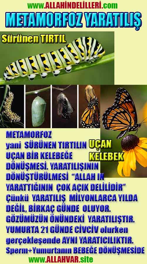Proofs and Evidences of God, God exists proofs, God is real proofs and evidences, Proofs of God's existance