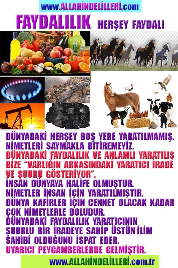 Proofs and Evidences of God, God exists proofs, God is real proofs and evidences, Proofs of God's existance