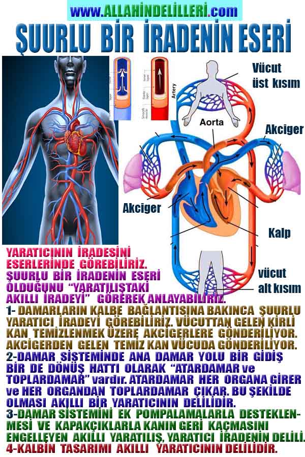 Proofs and Evidences of God, God exists proofs, God is real proofs and evidences, Proofs of God's existance