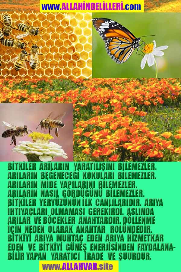 Proofs and Evidences of God, God exists proofs, God is real proofs and evidences, Proofs of God's existance