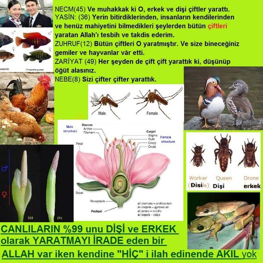 Proofs and Evidences of God, God exists proofs, God is real proofs and evidences, Proofs of God's existance