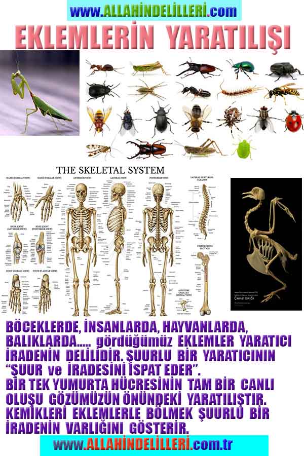 Proofs and Evidences of God, God exists proofs, God is real proofs and evidences, Proofs of God's existance