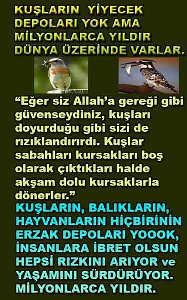 Proofs and Evidences of God, God exists proofs, God is real proofs and evidences, Proofs of God's existance