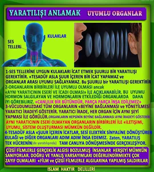 Proofs and Evidences of God, God exists proofs, God is real proofs and evidences, Proofs of God's existance