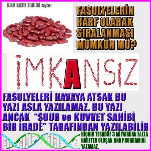 Proofs and Evidences of God, God exists proofs, God is real proofs and evidences, Proofs of God's existance