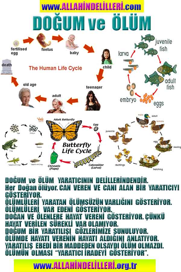 Proofs and Evidences of God, God exists proofs, God is real proofs and evidences, Proofs of God's existance